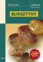 Bursztyny. Lektura z opracowaniem