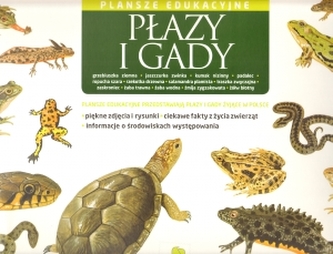 Płazy i gady. Plansze edukacyjne