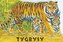 Tygrysy