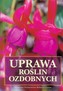 Uprawa roślin ozdobnych