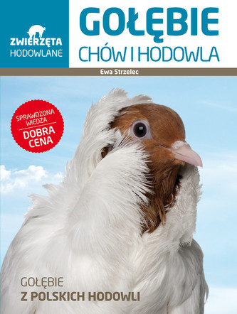 Zwierzęta hodowlane. Gołębie. Chów i hodowla