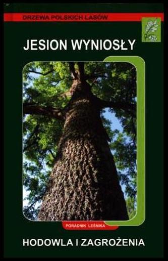 Jesion wyniosły. Hodowla i zagrożenia