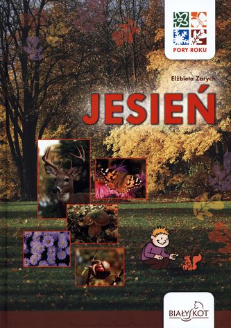 Pory roku. Jesień