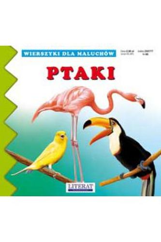 Ptaki. Wierszyki dla maluchów