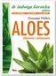 Aloes - właściwości i zastosowanie