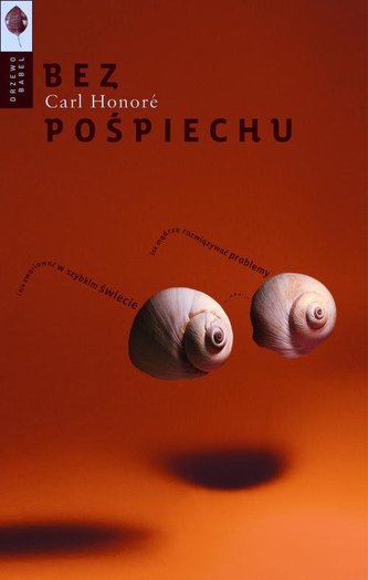 Bez pośpiechu. Jak mądrze rozwiązywać problemy i nie zwariować w szybkim świecie