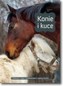 Konie i kuce