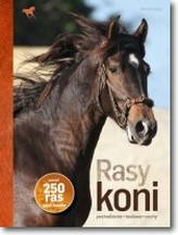 Rasy koni