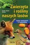 Zwierzęta i rośliny naszych lasów