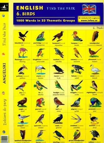 Angielski Dobierz do pary 6 Birds