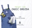 Zabić drozda