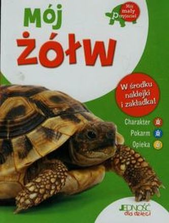 Mój żółw Mój żółw