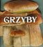 Grzyby