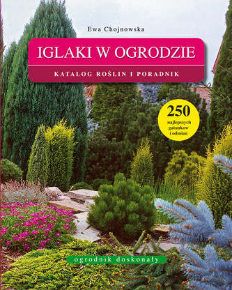Iglaki w ogrodzie