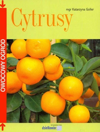 Cytrusy