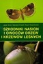 Szkodniki nasion i owoców drzew i krzewów leśnych