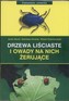 Drzewa liściaste i owady na nich żerujące
