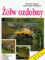 Żółw ozdobny