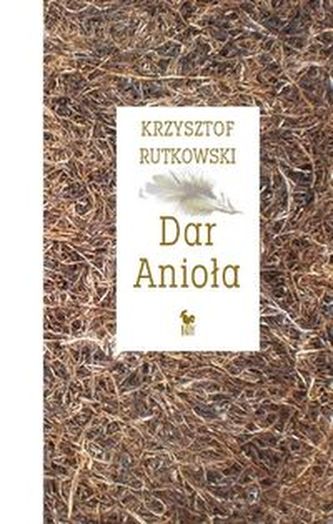 Dar Anioła