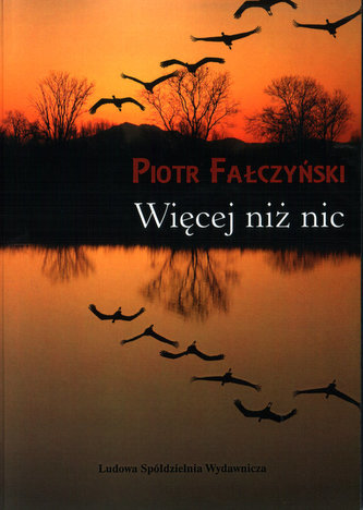 Więcej niż nic