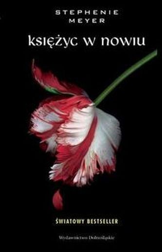 Księżyc w nowiu