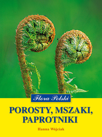Porosty mszaki paprotniki Porosty mszaki paprotniki