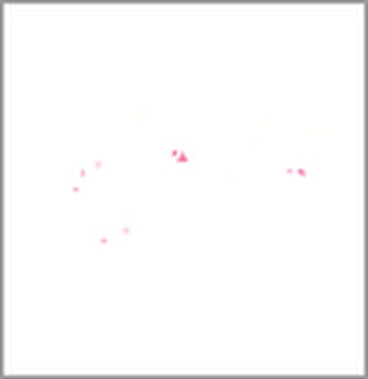 Výjimečné domy/ Exceptional Houses Výjimečné domy/ Exceptional Houses