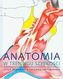 Anatomia w treningu szybkości