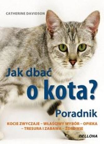 Jak dbać o kota Poradnik