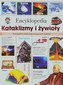 Encyklopedia Kataklizmy i żywioły