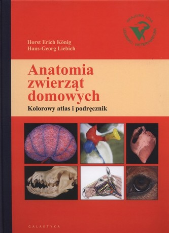 Anatomia zwierząt domowych