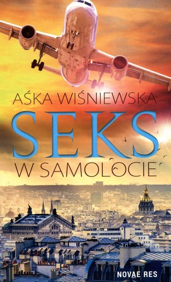 Seks w samolocie
