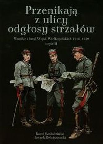 Przenikają z ulicy odgłosy strzałów
