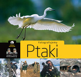 Fotografujemy ptaki