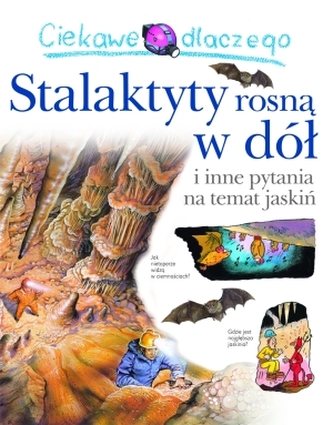 Ciekawe dlaczego stalaktyty rosną w dół Ciekawe dlaczego stalaktyty rosną w dół