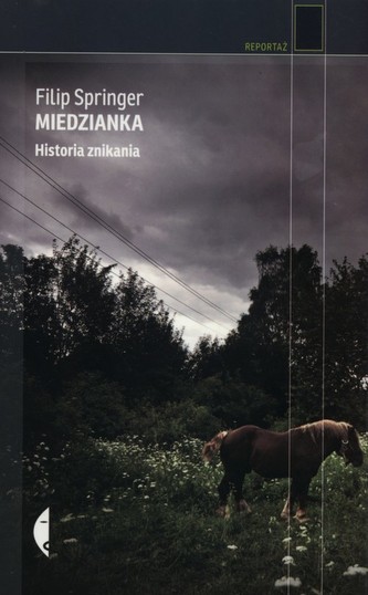 Miedzianka