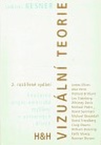 Vizuální teorie