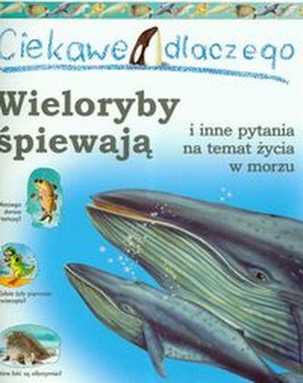 Ciekawe dlaczego wieloryby śpiewają i inne pytania na temat życia w morzu