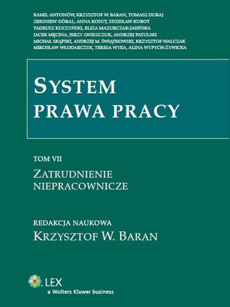 System prawa pracy Tom 7