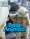 Baby Animals Poziom 1