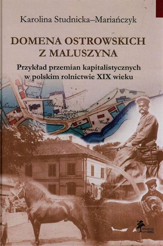 Domena Ostrowskich z Maluszyna