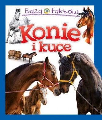 Baza faktów: Konie i kuce