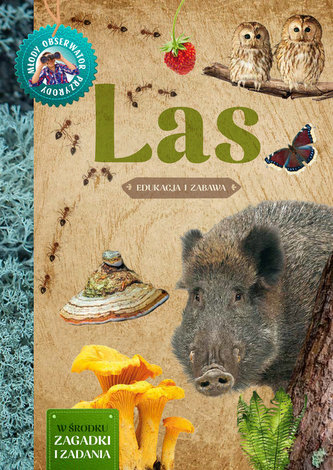 Las. Młody obserwator przyrody