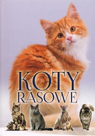 KOTY RASOWE