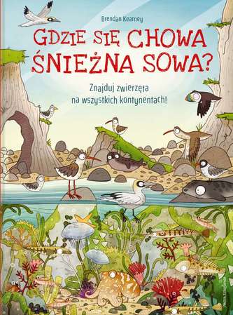 GDZIE SIĘ CHOWA ŚNIEŻNA SOWA ZNAJDUJ ZWIERZĘTA NA WSZYSTKICH KONTYNENTACH