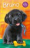 Bruno tęskni za domem