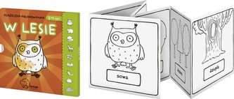 KSIĄŻECZKA KOLOROWANKA W LESIE