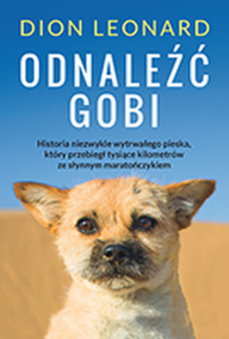 ODNALEŹĆ GOBI