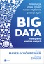 BIG DATA - efektywna analiza danych