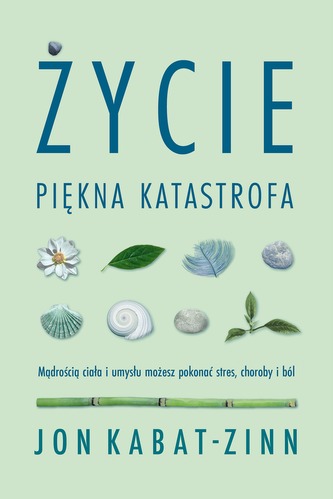 ŻYCIE PIĘKNA KATASTROFA WYD. 4